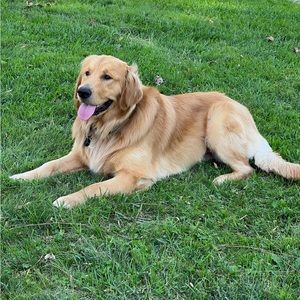 My Great Grandson Beaux